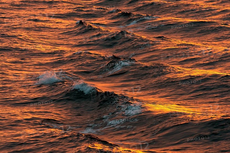 Bow waves in the evening light