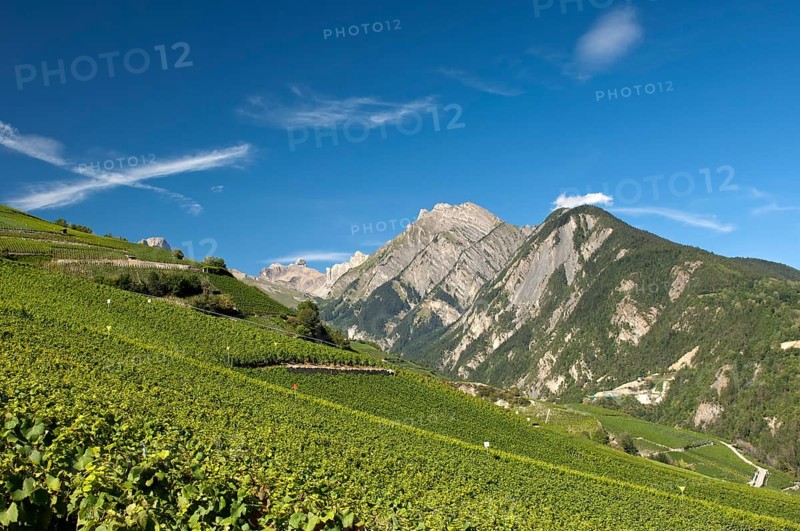Viticulture terraces