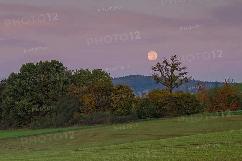 Landscape with setting moon