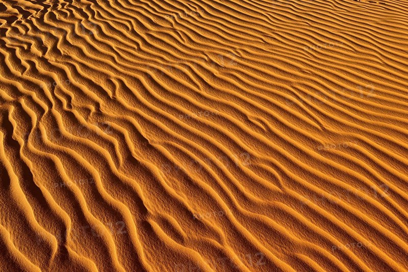 Sand ripples