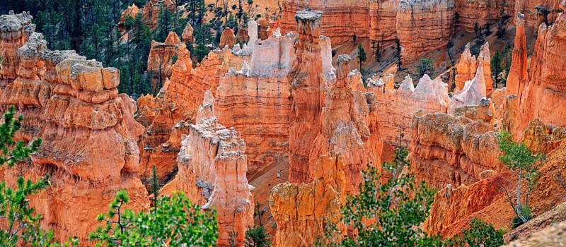 View from Rim Trail into the Queens Garden of Bryce Canyon