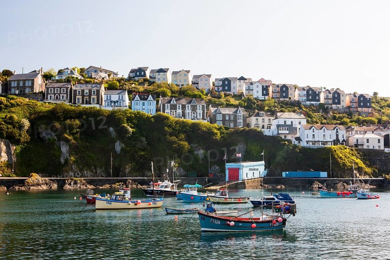 Harbour with fishing boats
