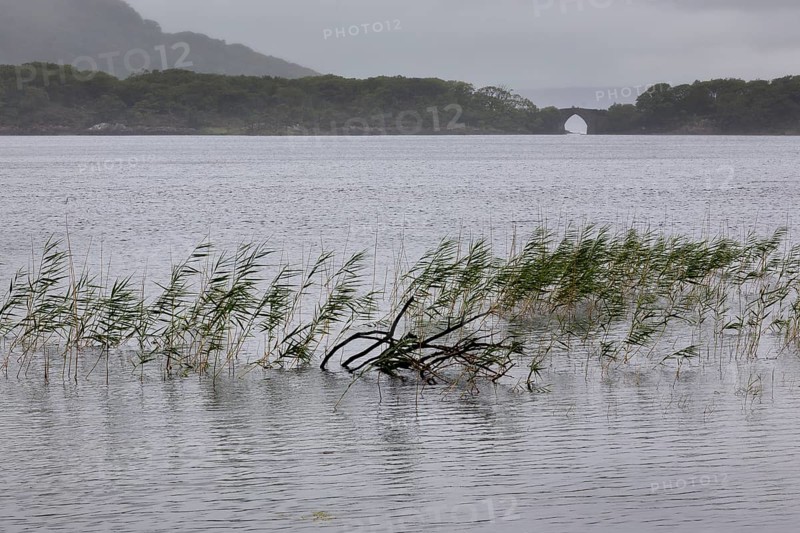 Brickeen Bridge on Muckross Lake