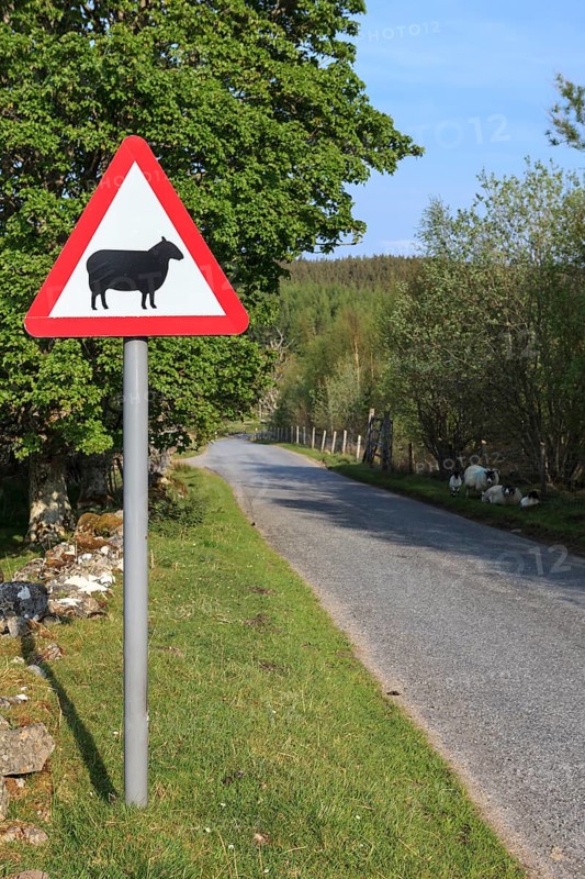 Street sign
