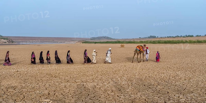 Rabari tribe people walking in the desert with a dromedary