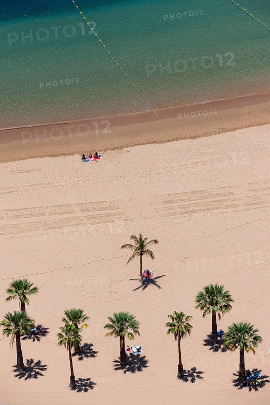 The sandy beach of Playa de las Teresitas with palm trees