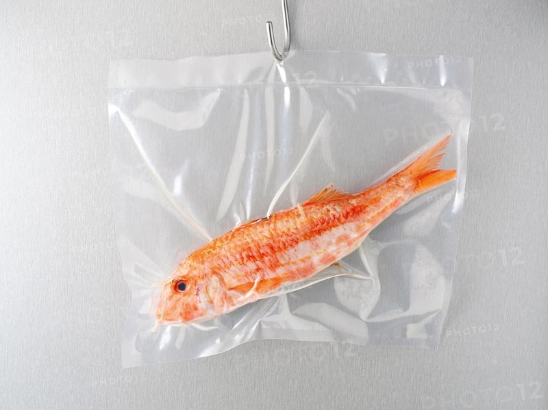 Fish in a vacuum bag
