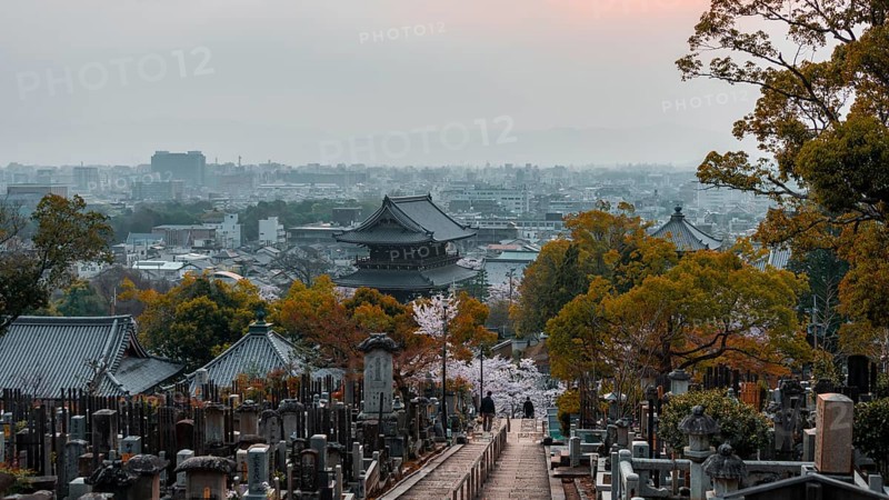 City view with temple and cemetery of the cherry blossom