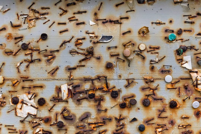 Remnants of rusted tacks and staples on a board