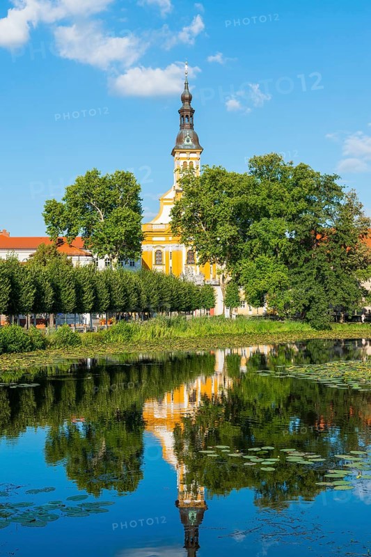 St. Mary's Assumption Monastery