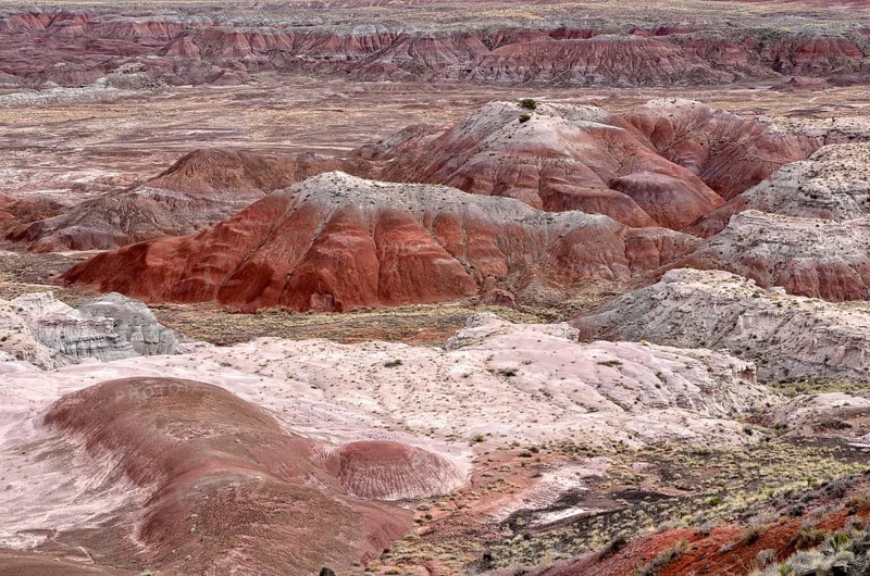 Painted Desert
