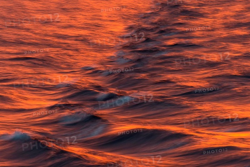 Bow waves in the evening light