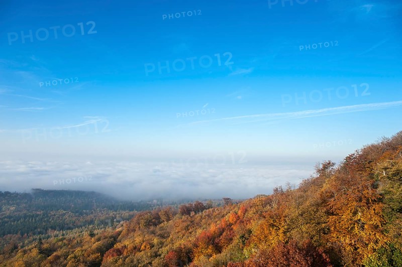 View from Hohenbaden Castle towards the Rhine valley in autumn