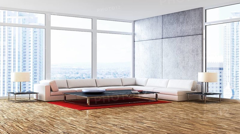 Living room with a corner lounge seating area in front of the windows