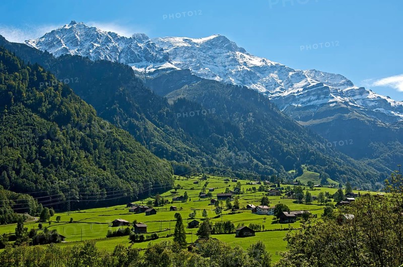 Summer mountain landscape with the Glarus Alps at back