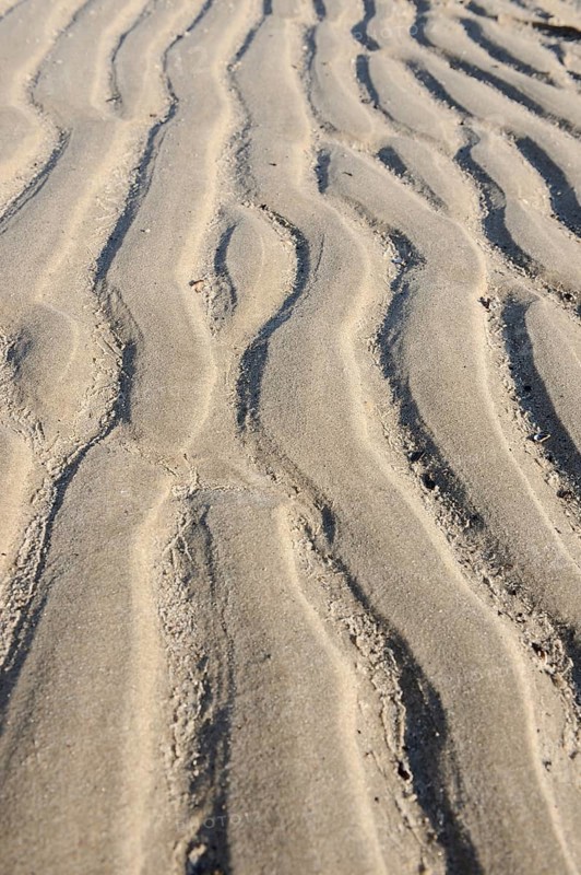 Sand grooves caused by the River Elbe