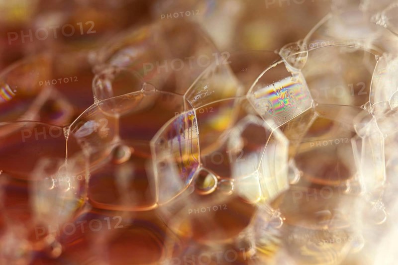 Bubbles