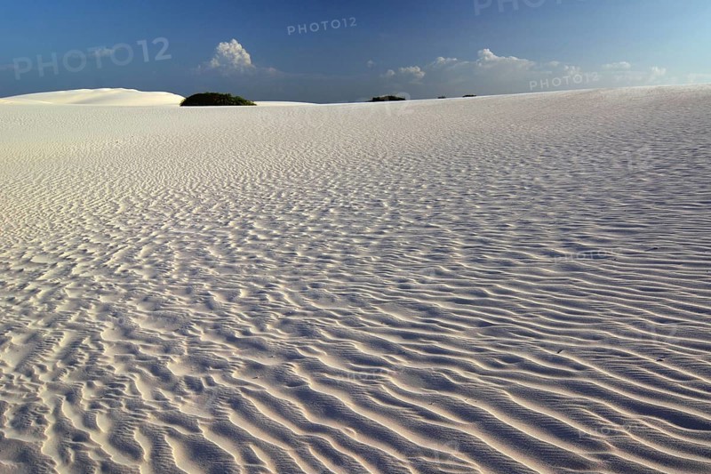 Desert
