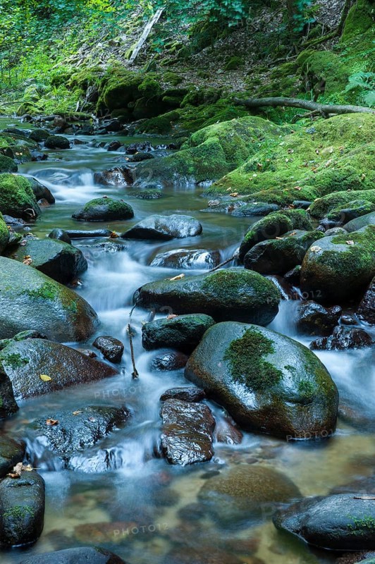 Grobbach creek near Geroldsauer Wasserfall waterfall