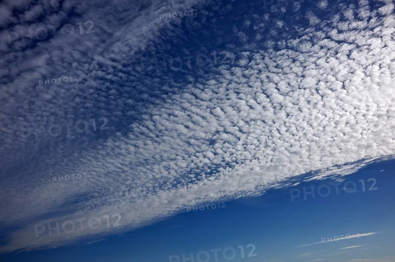 Fluffy clouds or cirrocumulus clouds
