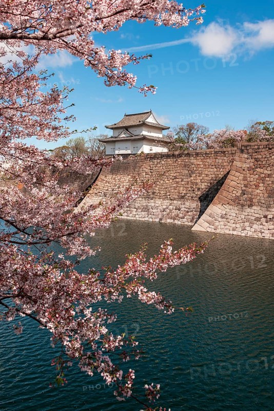 Osaka Castle with moat to the cherry blossom