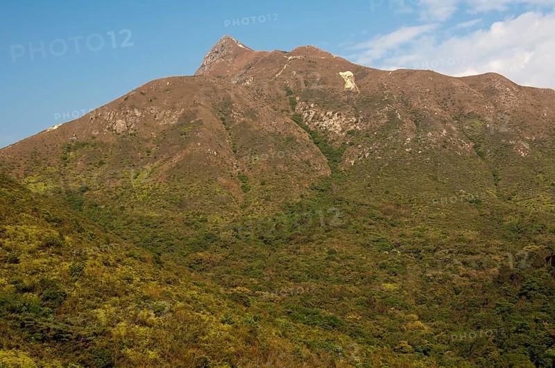 Scrubland with Sharp Peak mountain range
