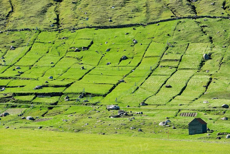 Fields and rocks