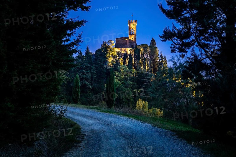Road through forest overlooking illuminated clock tower Torre dell'Orologio