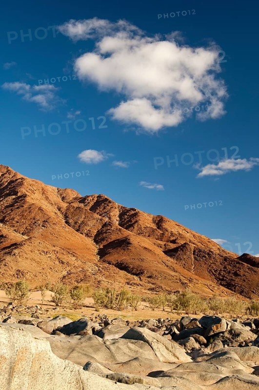 Desert landscape