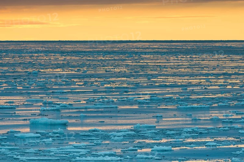 Ice floes