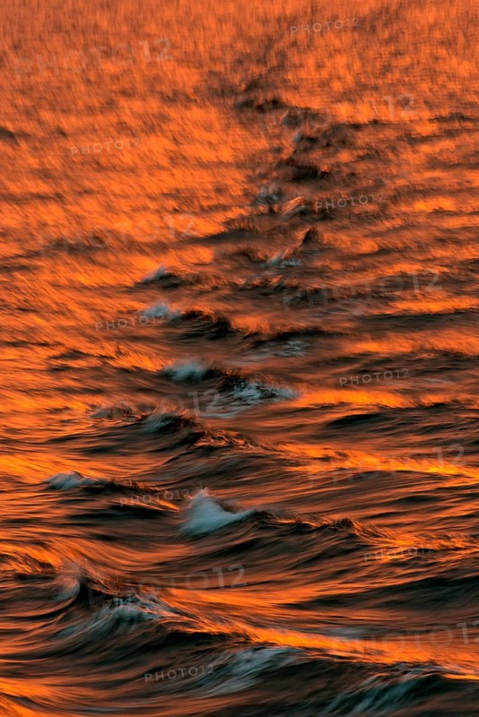 Bow waves in the evening light