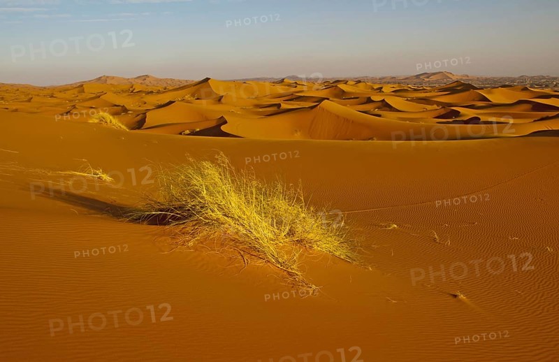 Sand dunes