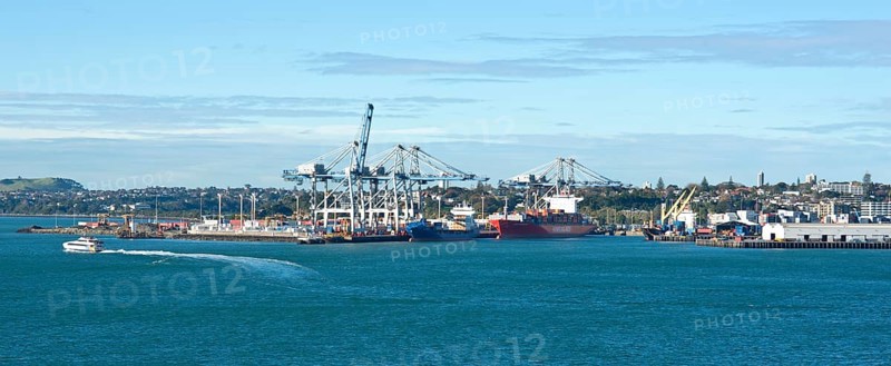 Auckland Harbour seen from Stanley Bay