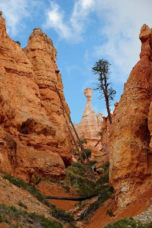View towards the sandstone pillar Thor's Hammer