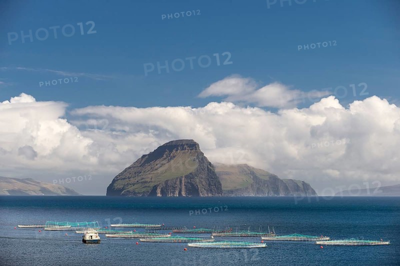 Fish farm