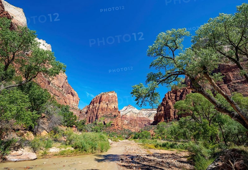 View of Angels Landing