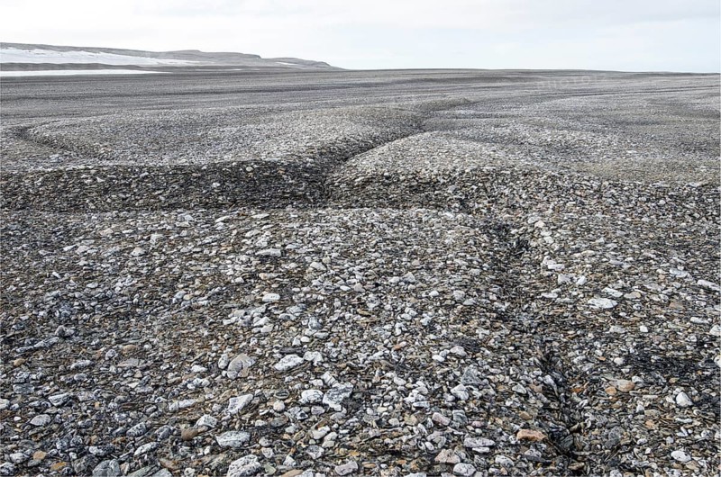 Frost cracks in the frost ground patterns in the Arctic ice desert