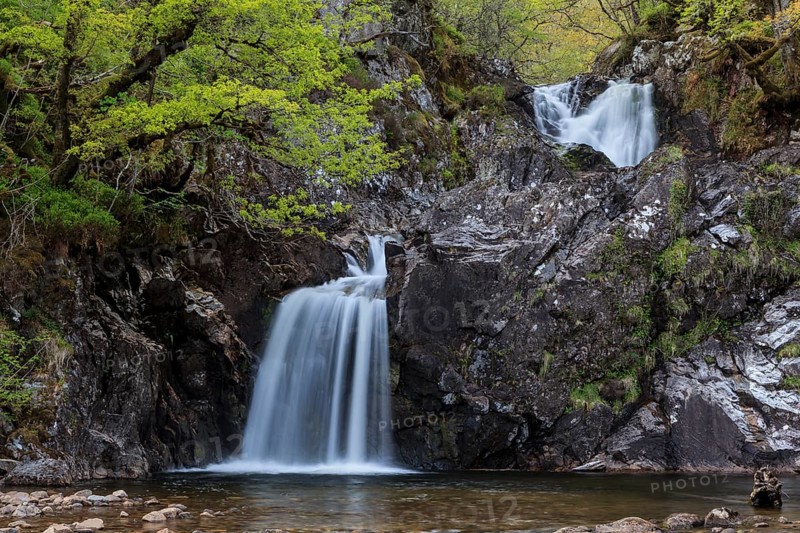 Waterfall in a forest