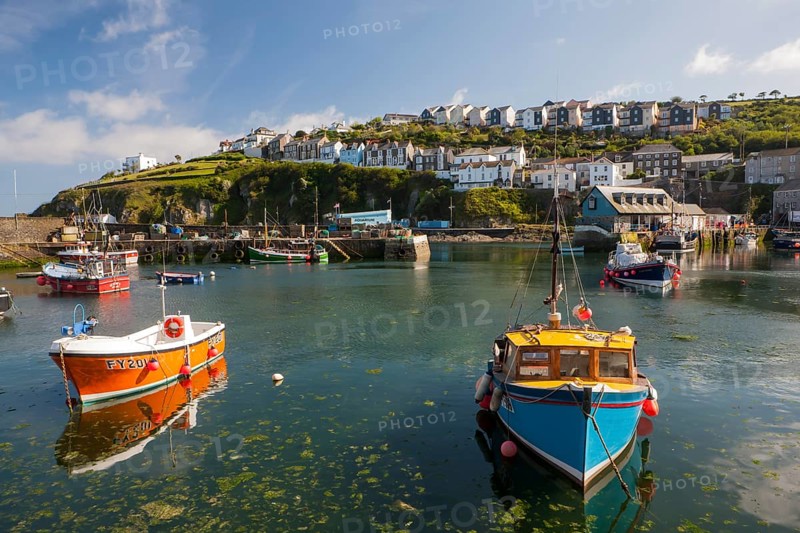 Harbour with fishing boats