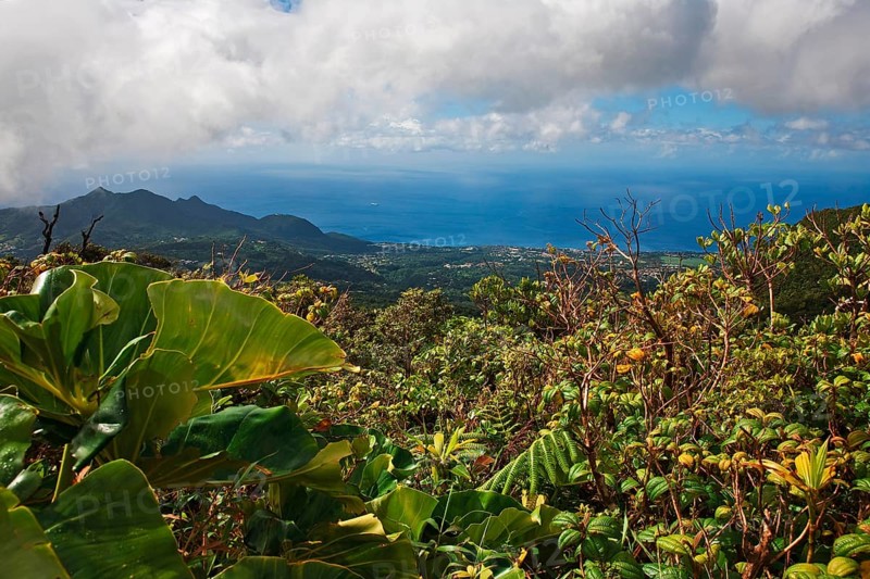 View towards Saint-Claude from La Soufriere volcano