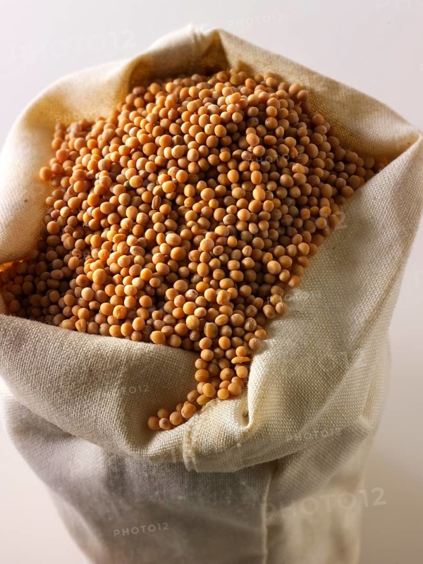 Mustard seeds
