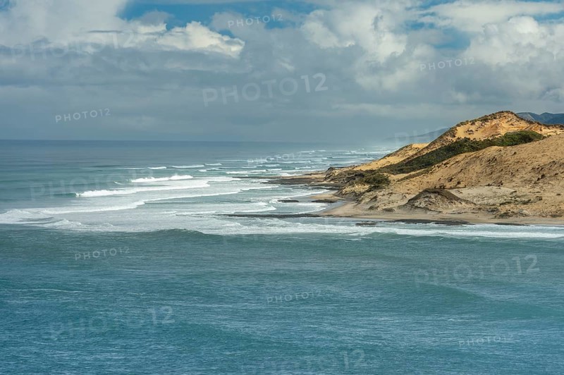 Pacific coast