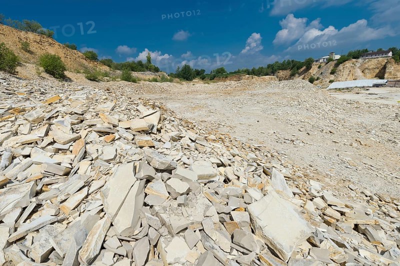 Plattenkalk limestone with inclusions