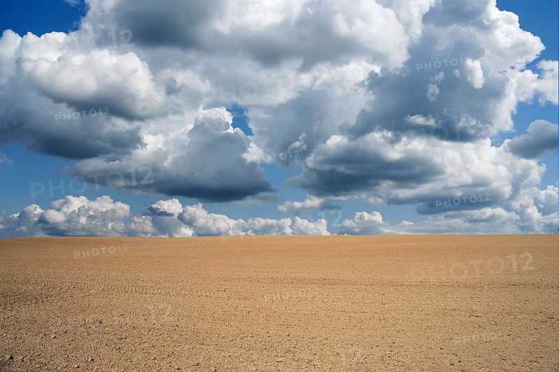 Freshly sown field with cumulus clouds