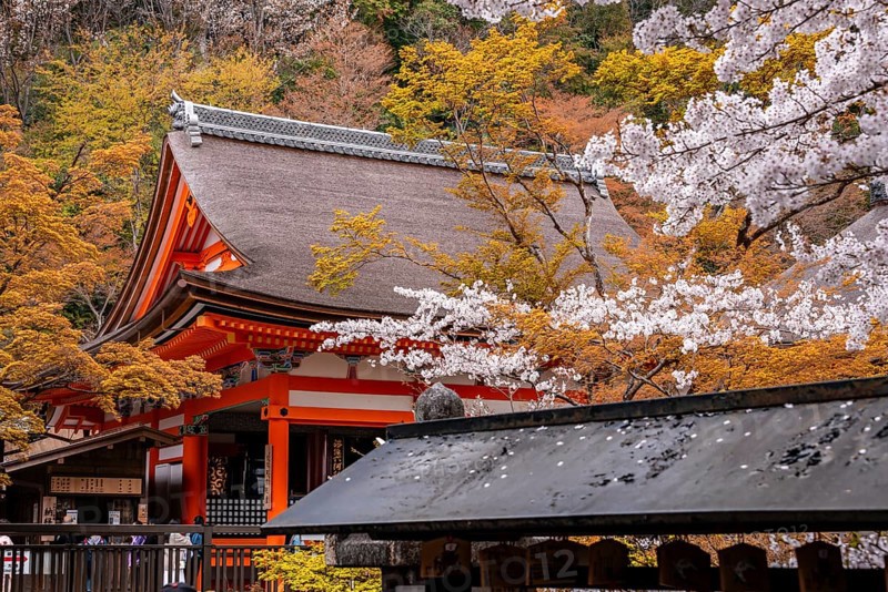 Okuno-in Hall of Kiyomizu-dera Temple