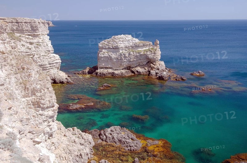 Turtle Rock