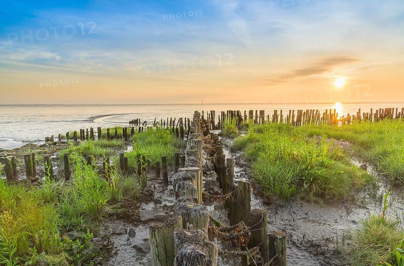 Border for land reclamation in the Wadden