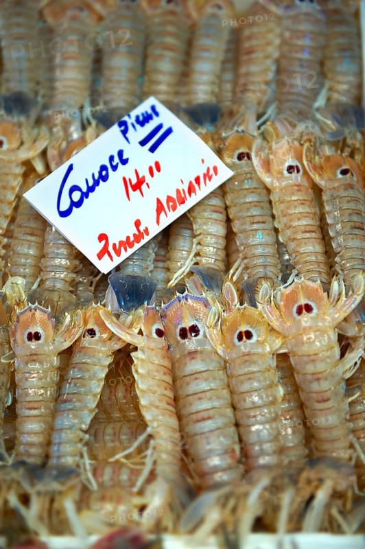 Connoce fresh shrimp on the Rialto fish market
