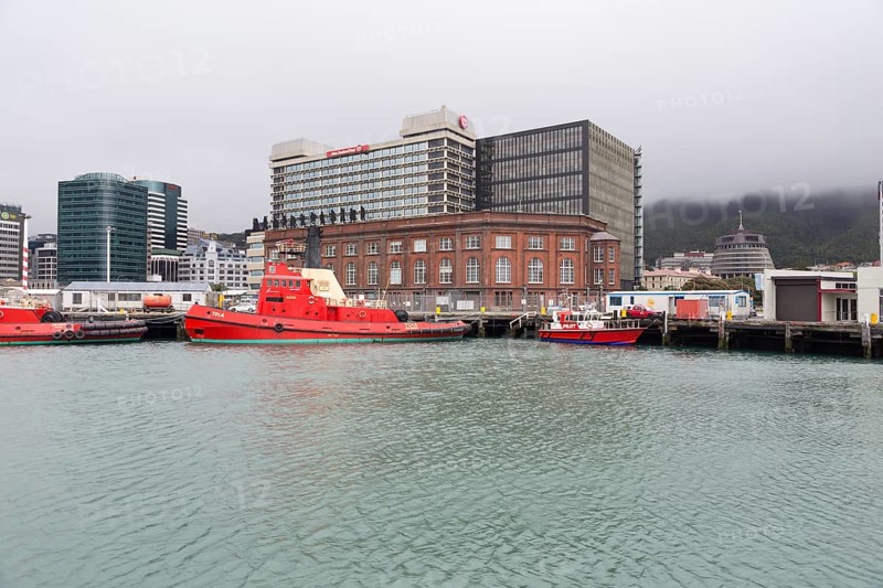 Views of the harbour and on the Parliament of New Zealand