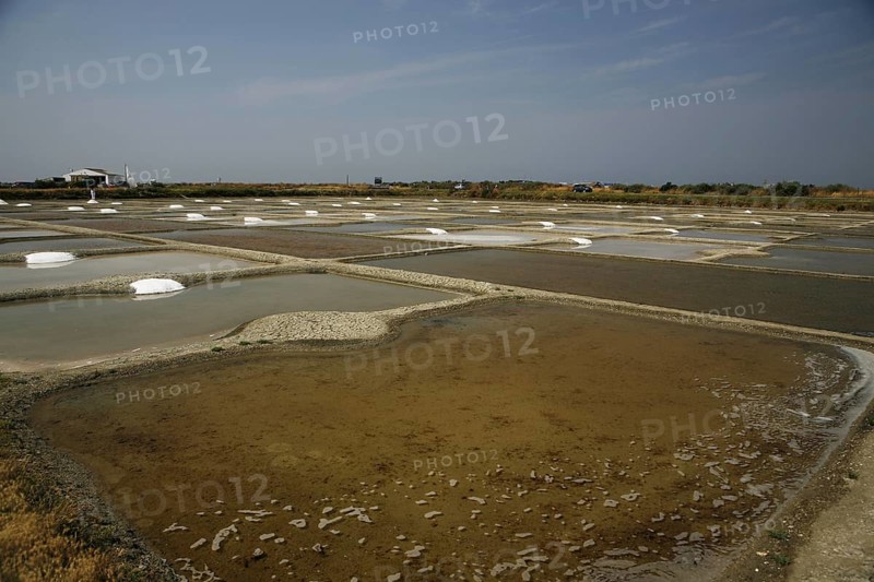 Salt farm